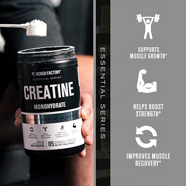 CREATINE MONOHYDRATE - Image 2
