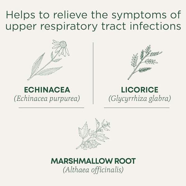 Traditional Medicinals - Organic Throat Coat Lemon Echinacea Herbal Tea (Pack of 1) -  16 Tea Bags Total - Image 2