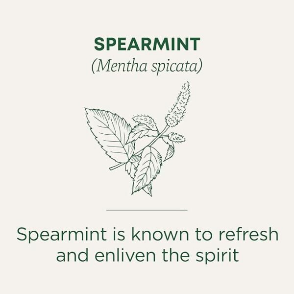 Traditional Medicinals - Organic Spearmint Herbal Tea (Pack of 1) - Refreshing and Minty - 16 Tea Bags Total - Image 2