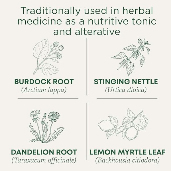 Traditional Medicinals - Organic Everyday Detox Lemon Herbal Tea - Image 2